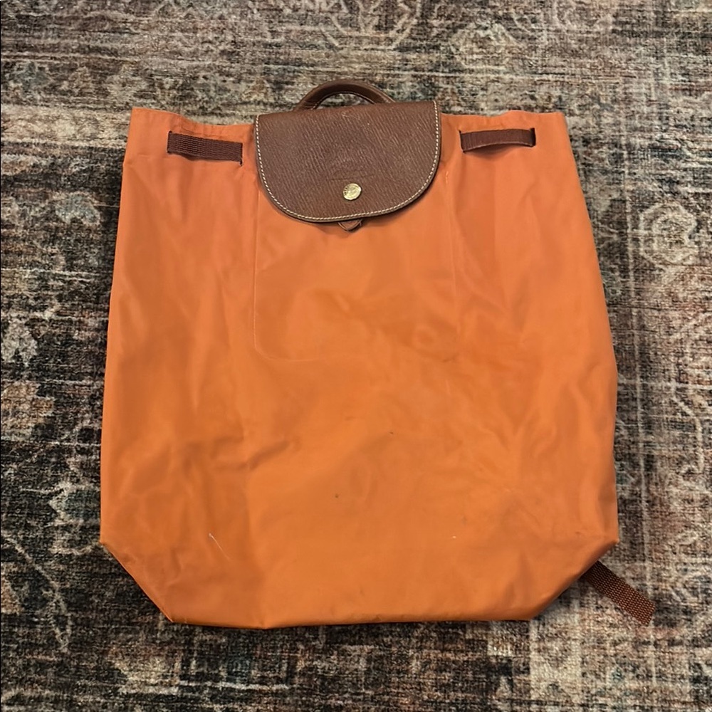 Vintage Longchamp Le Pliage Backpack